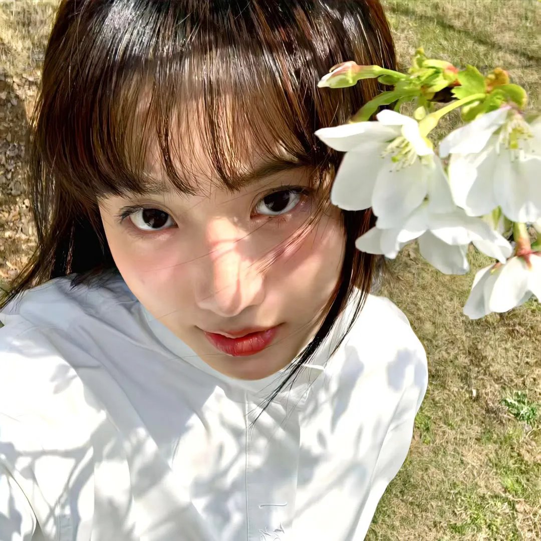 少女情怀尽是诗